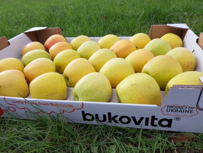 Golden Delicious: 1 layer